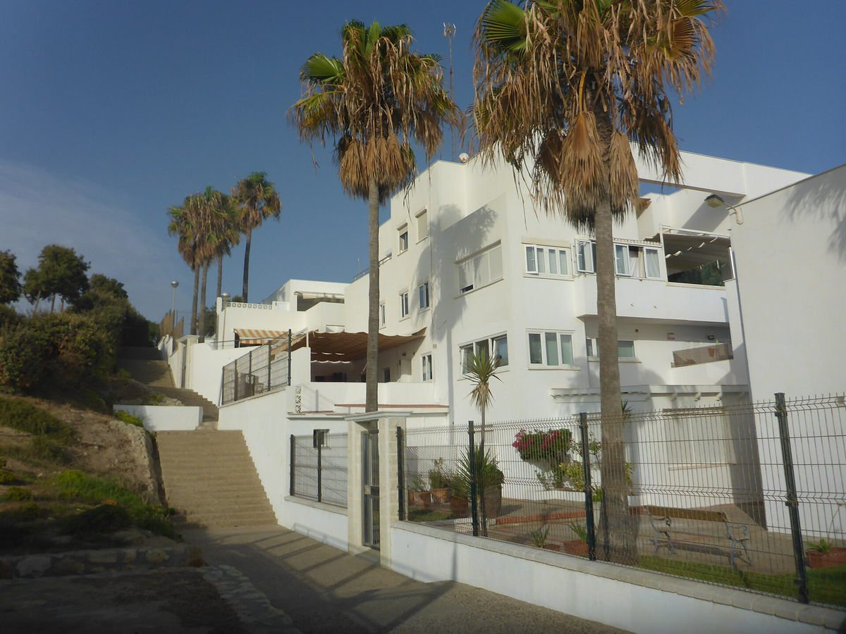 Viviendas de un conjunto residencial con zonas comunes en primer plano y palmeras al fondo